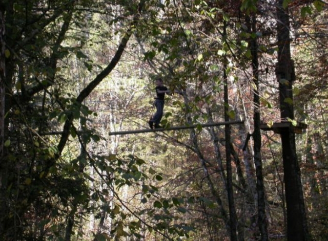  Adventure in the trees 